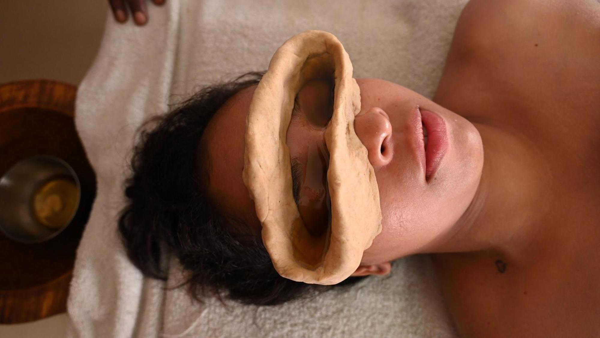 רישיקש Ayurveda Bhavan מראה חיצוני תמונה